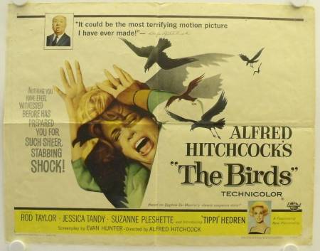 Die Vögel originales Filmplakat