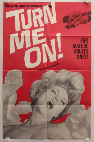 Turn Me On original release US Onesheet movie poster
