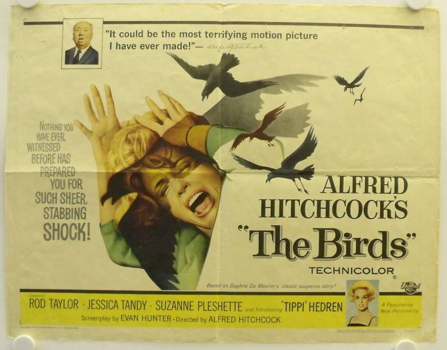 Die Vögel originales Filmplakat