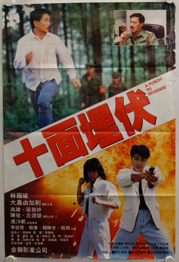 A Punch to Revenge originales Hong Kong Filmplakat