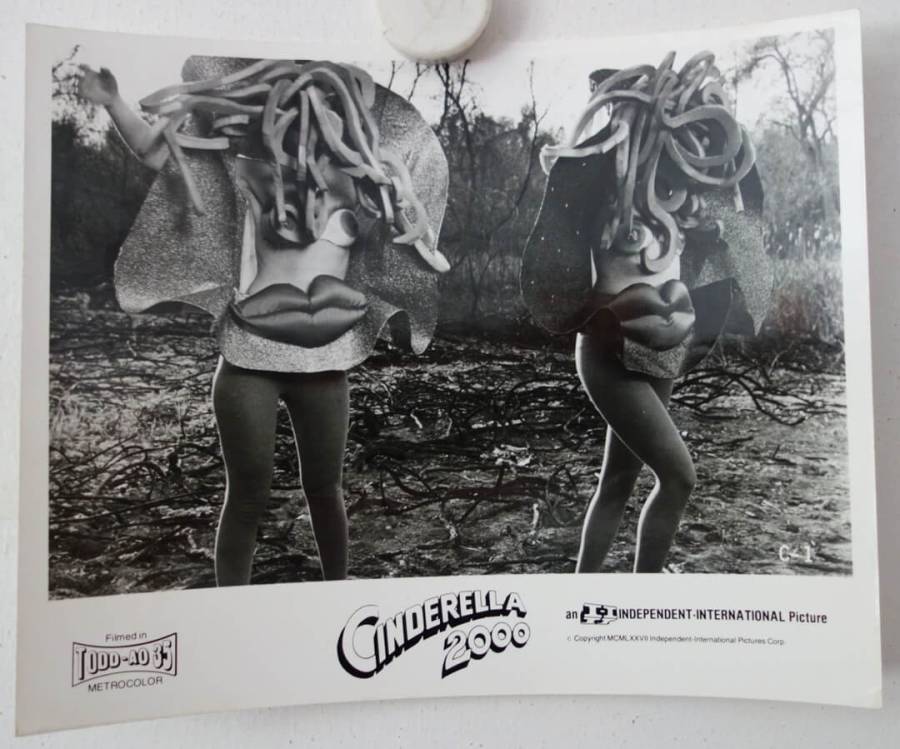 Cinderella 2000 original release US 8x10 publicity still