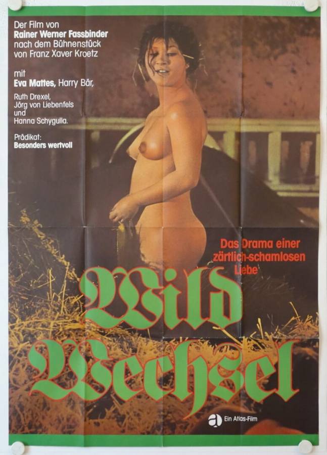 Wildwechsel originales deutsches A0-Filmplakat