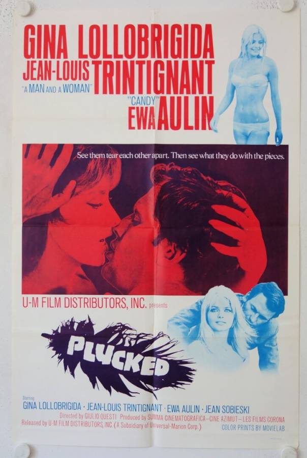 La morte ha fatto l'uovo - Plucked original release US Onesheet movie poster