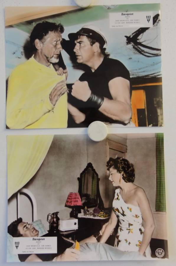 Aasgeier originale deutsche Aushangfotos (2)