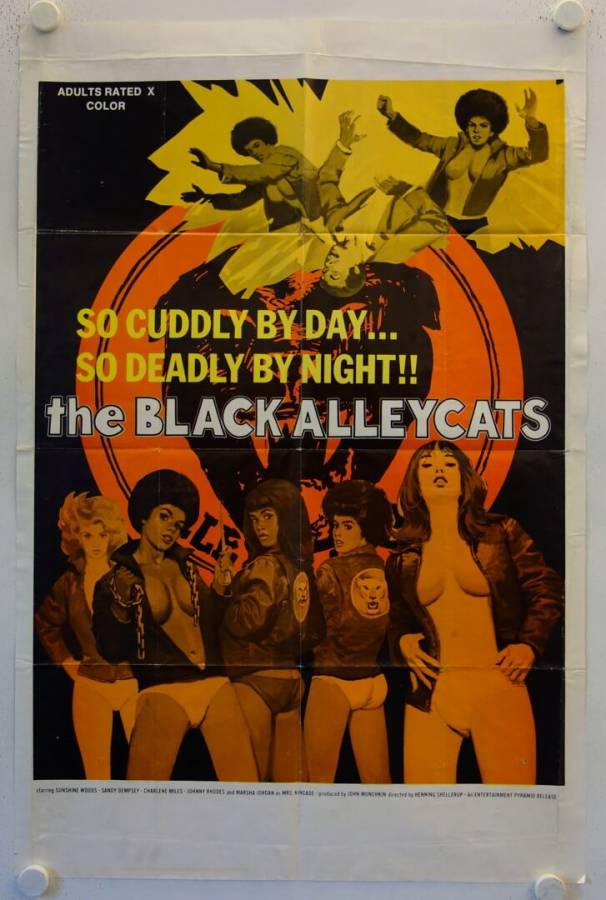 The Black Alley Cats original release US Onesheet movie poster