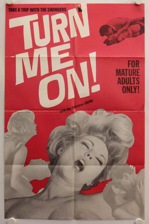 Turn Me On original release US Onesheet movie poster