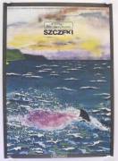 Der weisse Hai (Jaws)
