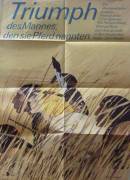 Triumph des Mannes den sie Pferd nannten (Triumphs of a Man called Horse)