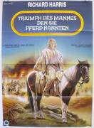 Triumph des Mannes den sie Pferd nannten (Triumphs of a Man called Horse)