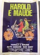 Harold und Maude (Harold and Maude)