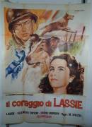Held auf vier Pfoten (Courage of Lassie)