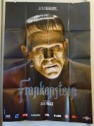 Frankenstein (Frankenstein)