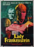 Lady Frankenstein (Lady Frankenstein)