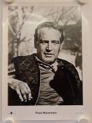 Paul Newman (Paul Newman)