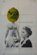 Sex and the Single Lemon (Sex and the Single Lemon)