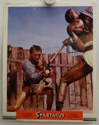 Spartacus (Spartacus)