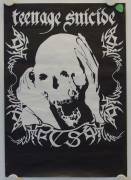 Teenage Suicide Bandplakat (Teenage Suicide Band Poster)