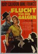 Flucht vor dem Galgen (The Hired Gun)