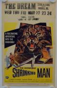 Die unglaubliche Geschichte des Mr. C (The Incredible Shrinking Man)