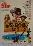 Water Hole #3 (Wasserloch Nr. 3)